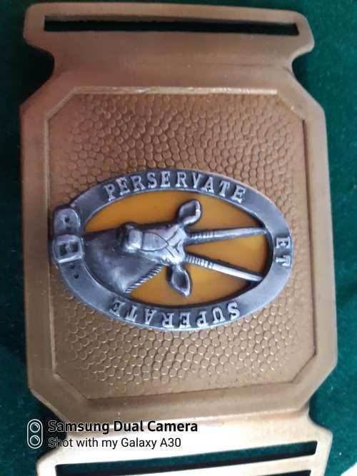 Stable belt buckle